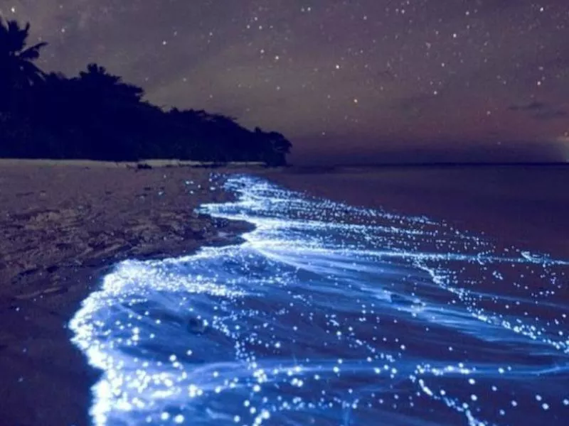 Sea of Stars