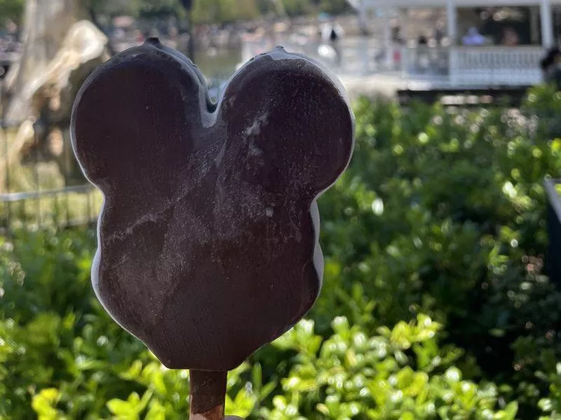 Mickey’s Premium Ice Cream Bar