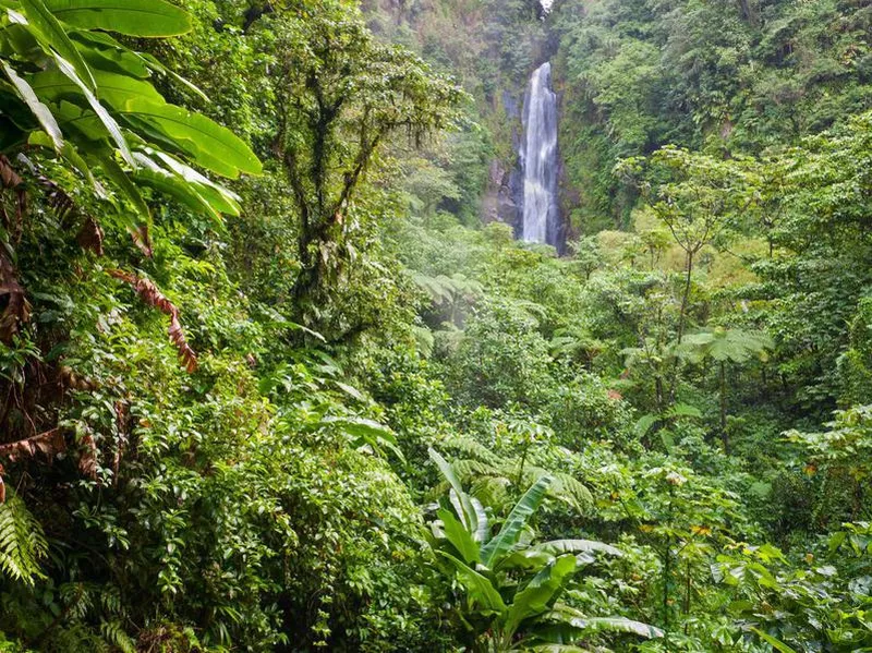 Trafalgar Falls, Dominica