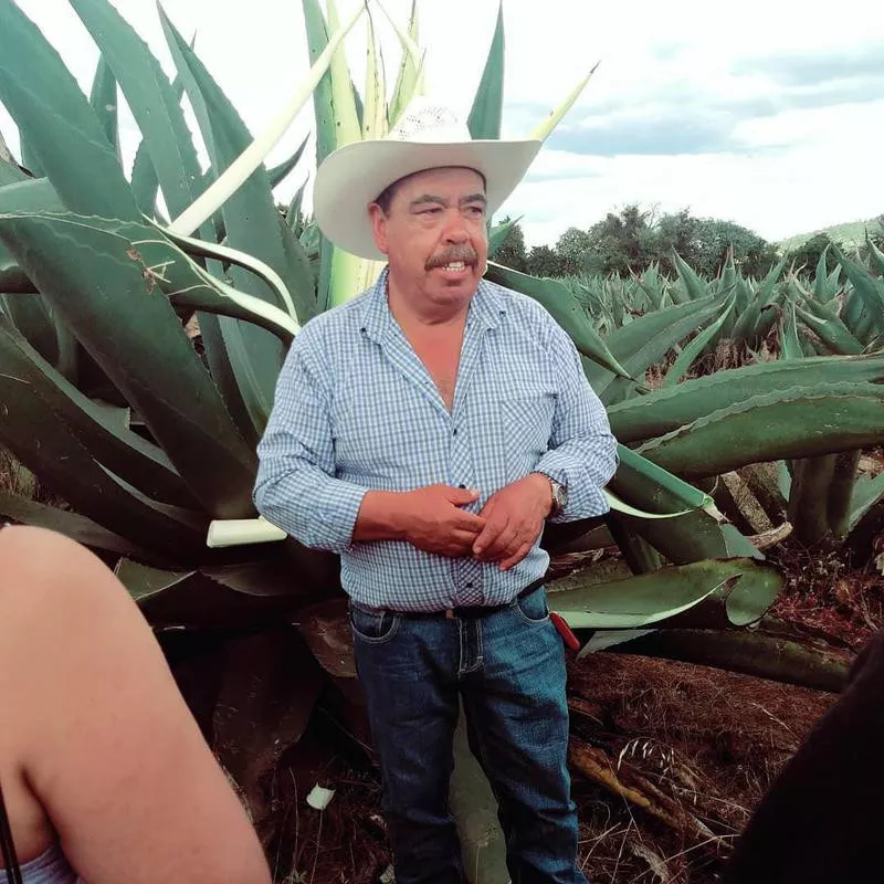 Pulque Route