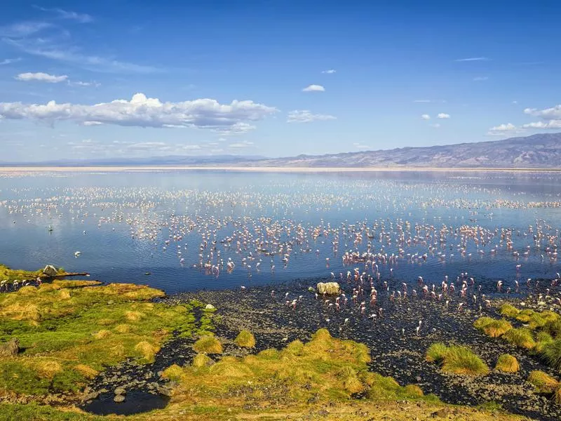 Lake Natron