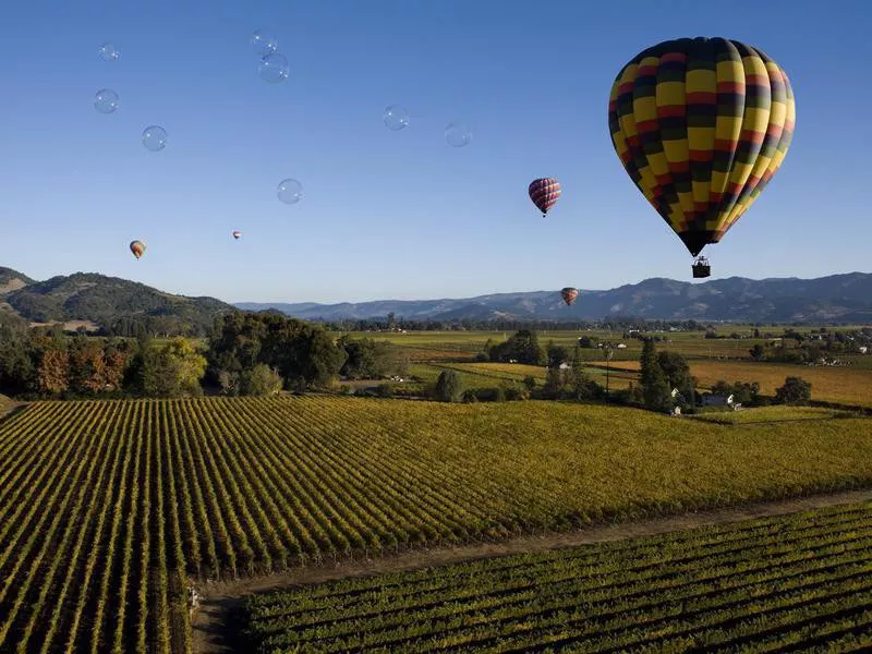 Hot air balloon in Napa