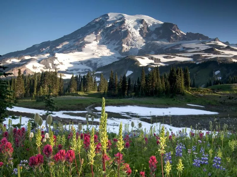 Mount Rainier