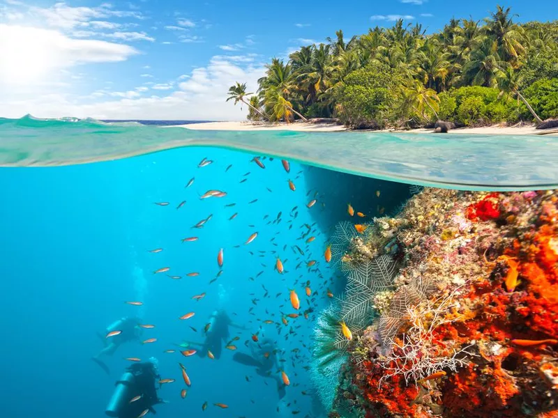 Scuba diving in the Maldives