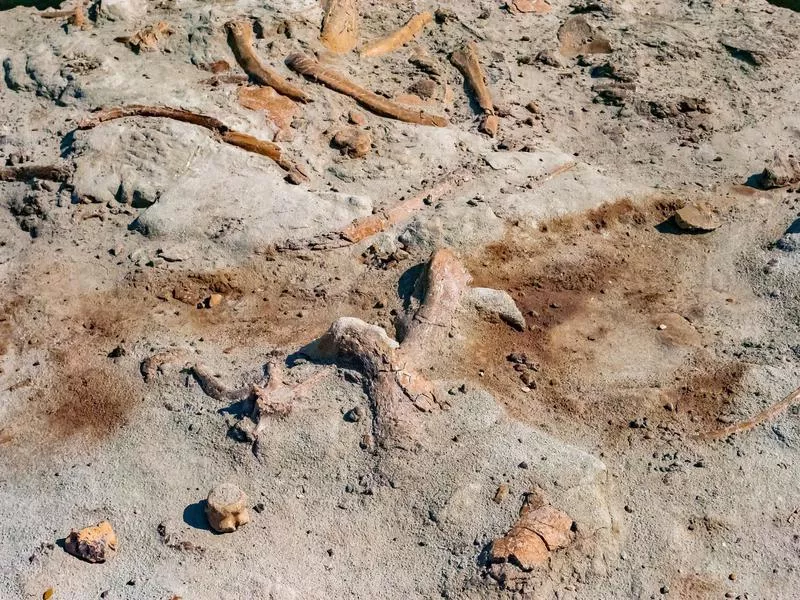 Dinosaur Provincial Park