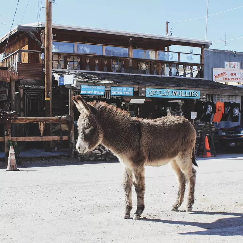 Oatman