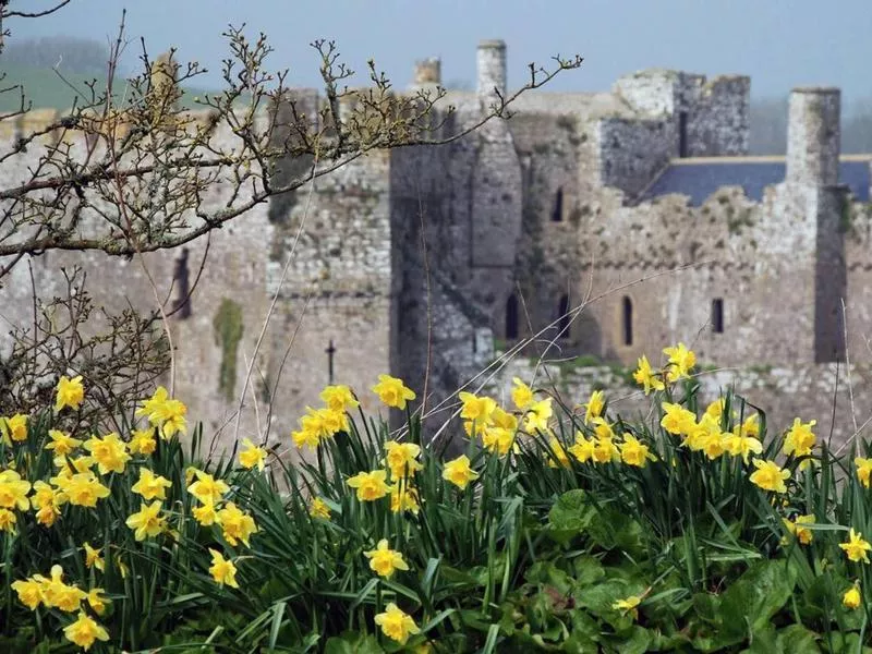 Manorbier Castle