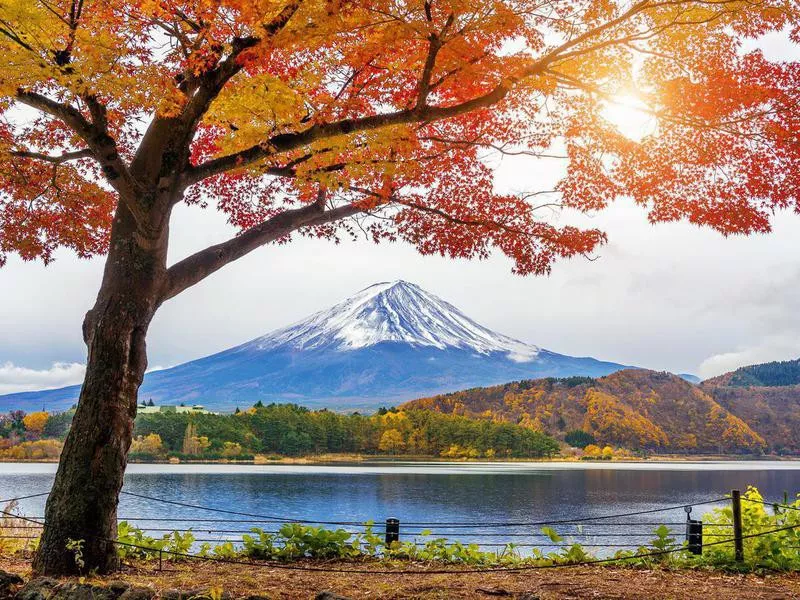 Autumn Season and Fuji mountains at Kawaguchiko lake, Japan.