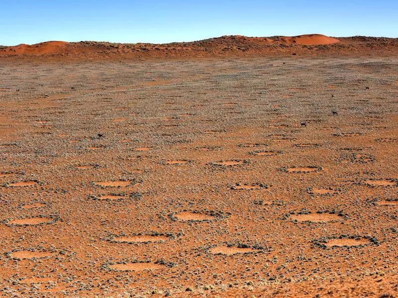 Fairy Circles