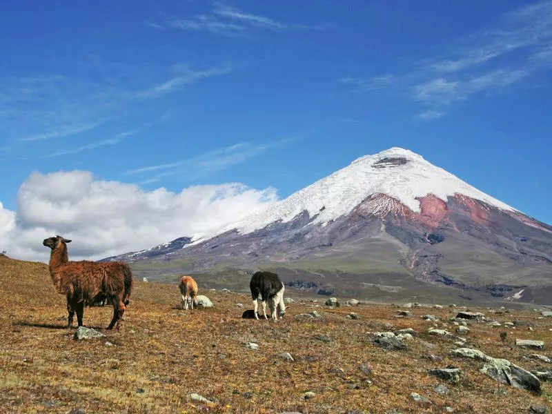 Cotopaxi