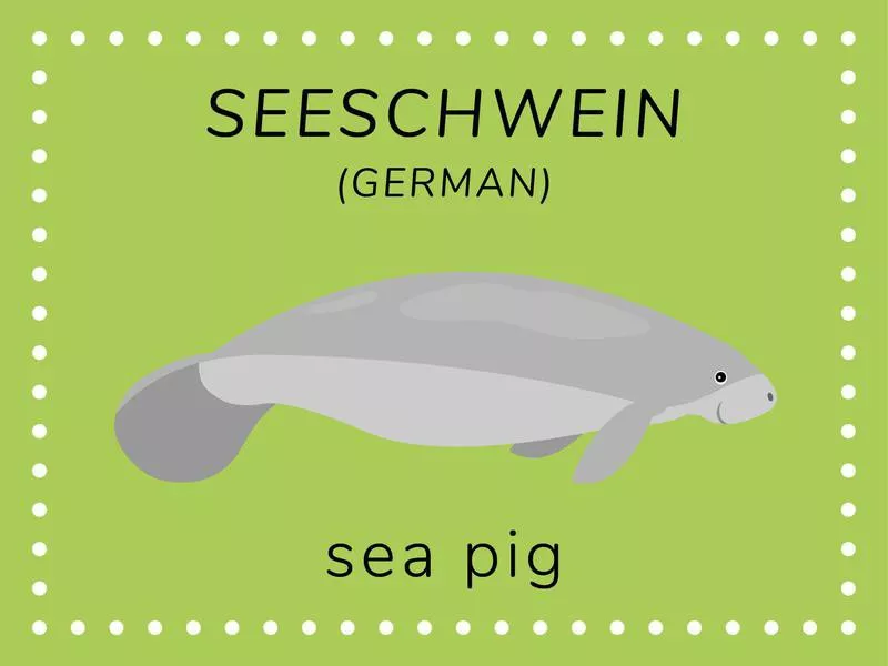 Manatee in German