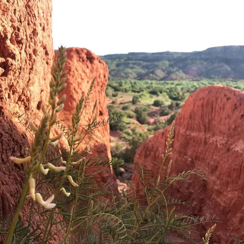 Palo Duro Canyon State Park