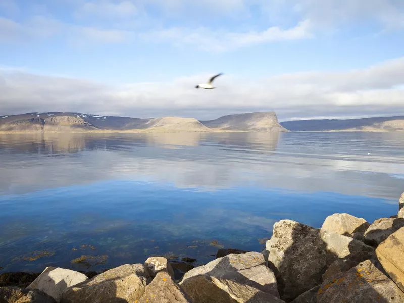 Patreksfjörður, Iceland