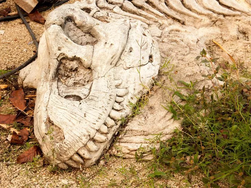 Dinosaur National Monument