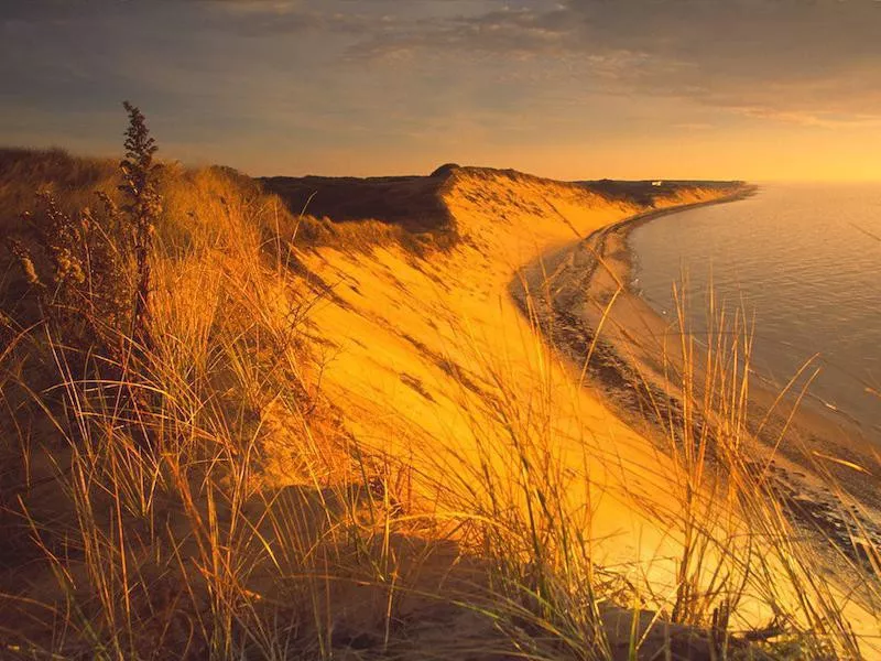 Cape Cod National Seashore