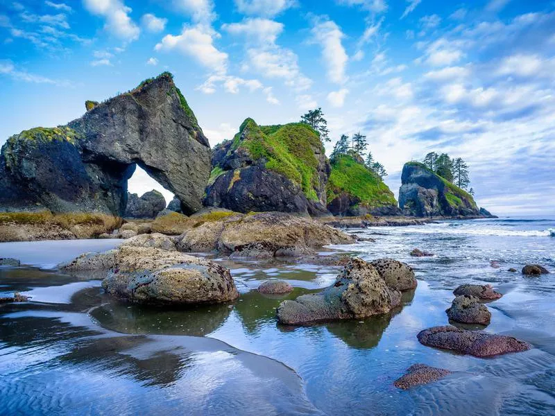 Olympic National Park, Washington