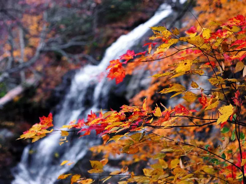 Crabtree Falls