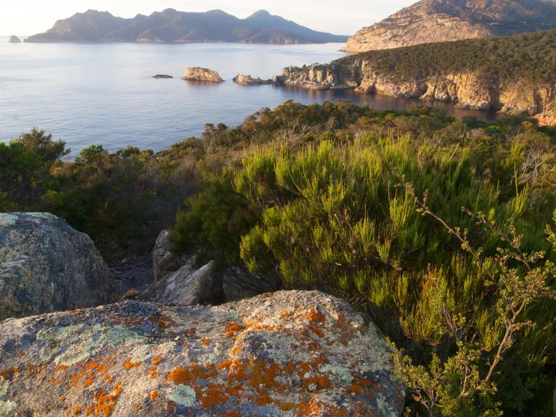 Tasmanian wilderness