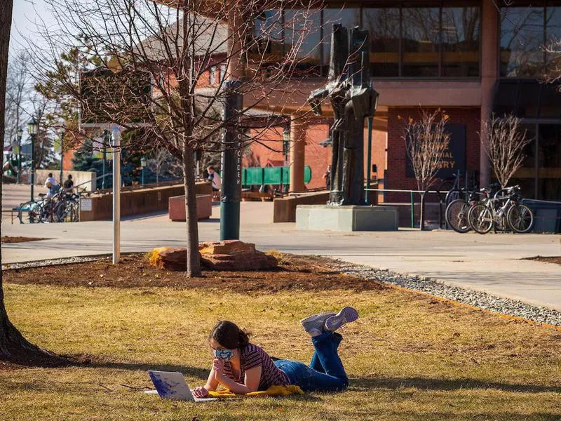 Student at University of Vermont