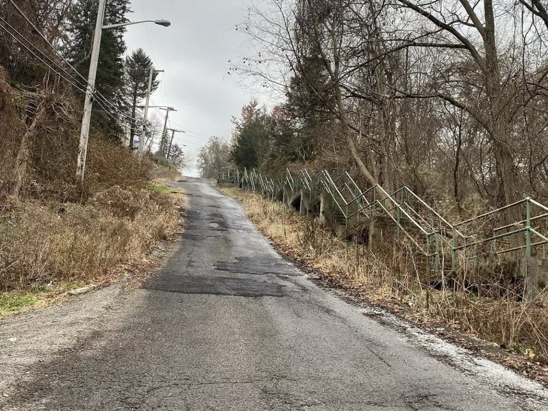 Dornbush stairs and road