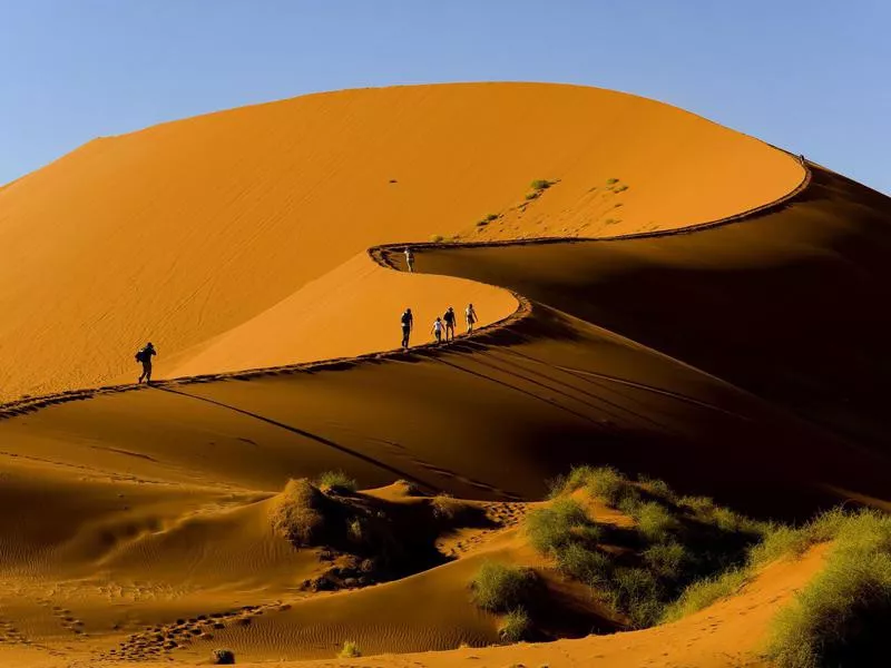 Namibian desert