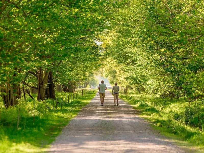 Couple walking in Sweden