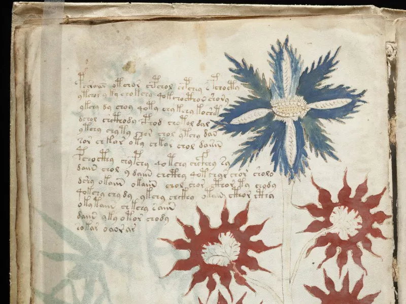 The Voynich Manuscript