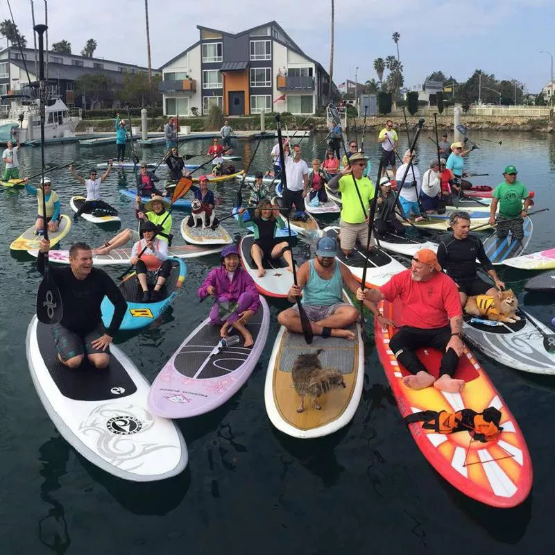 WhatsSup Stand-Up Paddle & Surf