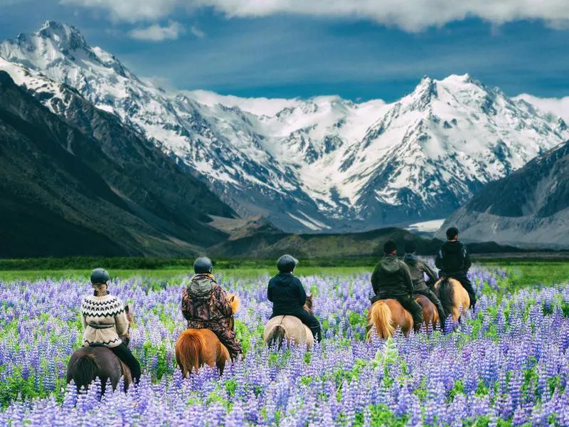 Mt Cook National Park in New Zealand