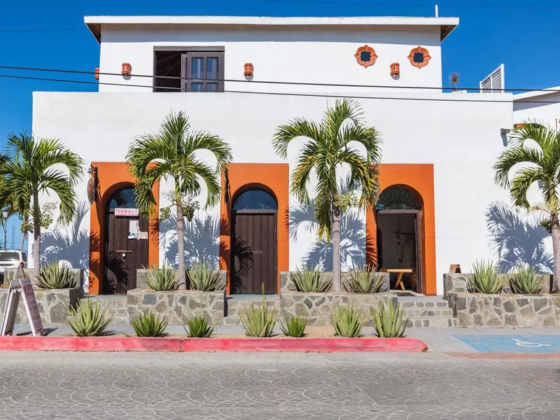 Palm trees outside a restaurant in Todos Santos.