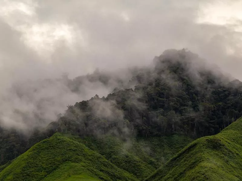 Bellavista Cloud Forest Reserve