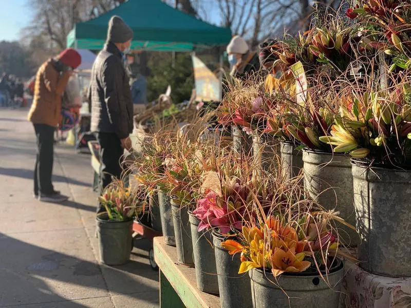 Flowers at the Boulder Farmers Market