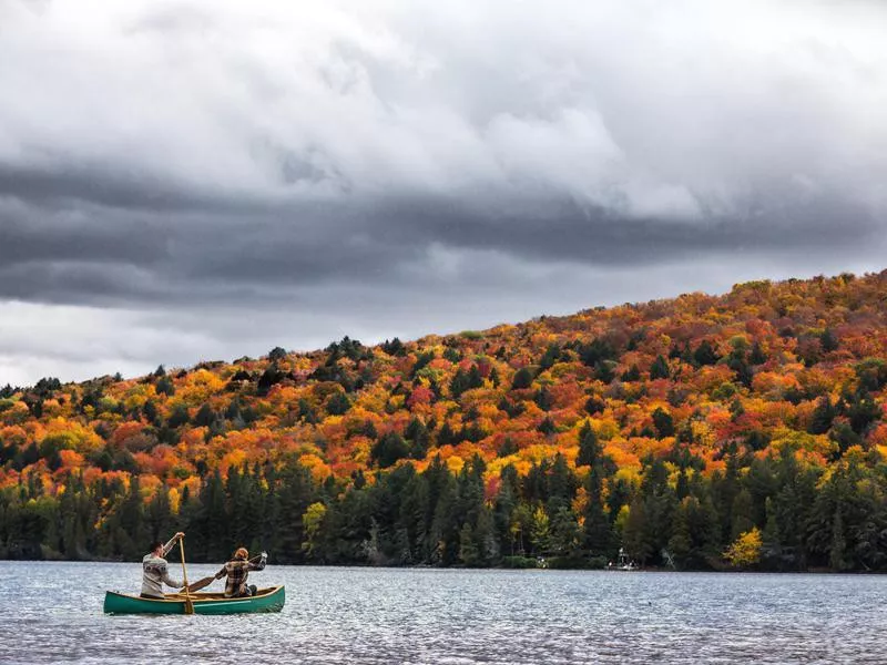 Algonquin Provincial Park, Ontario, Canada