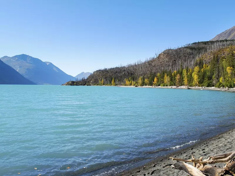 Kenai Lakeshore and Burn Area