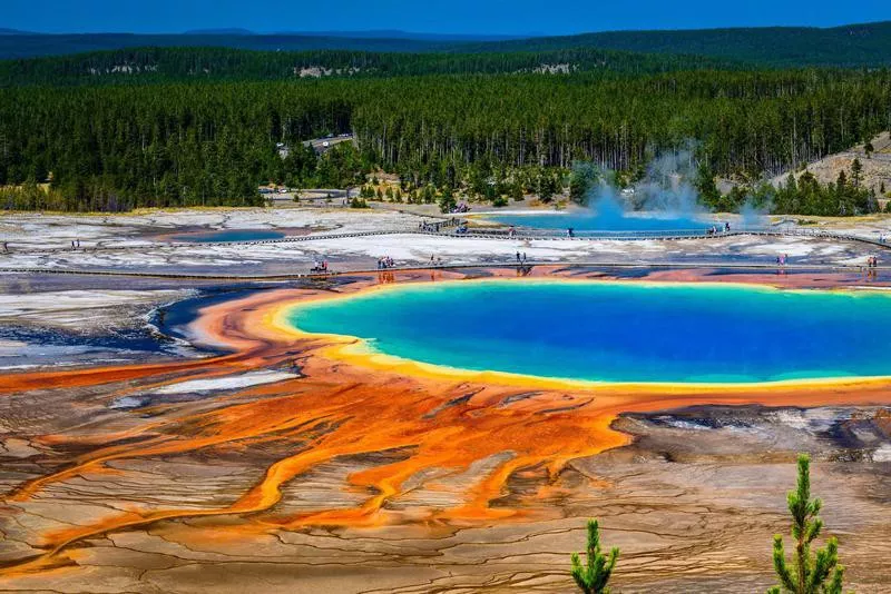 Grand Prismatic Spring, Yellowstone