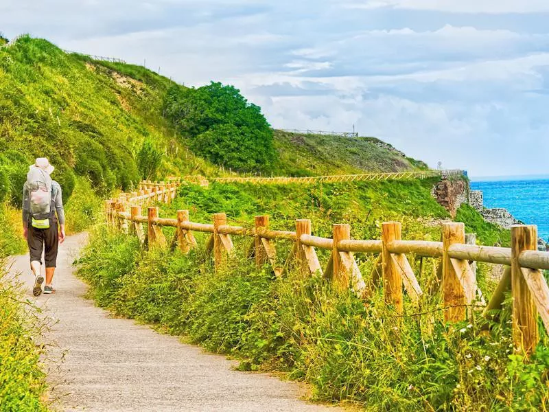 Camino de Santiago