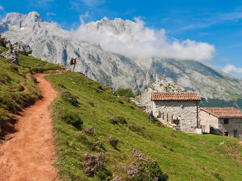 Picos de Europa