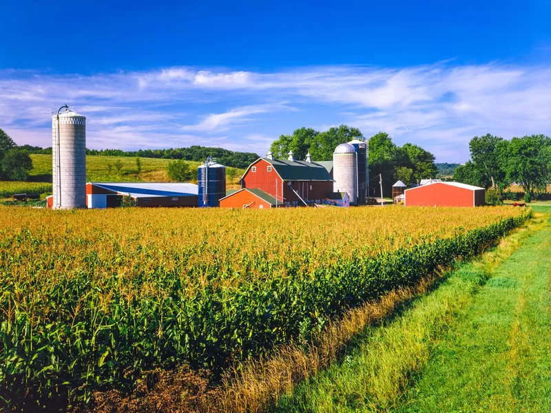 Corn crop and Iowa farm at harvest time