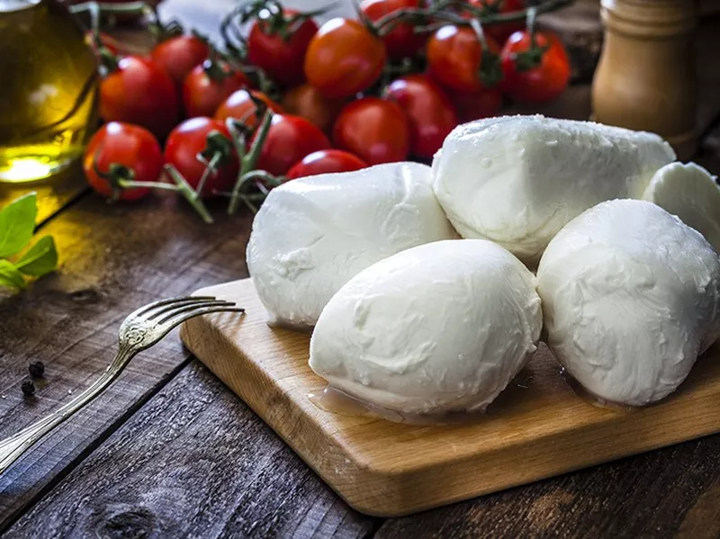 Italian buffalo mozzarella cheese