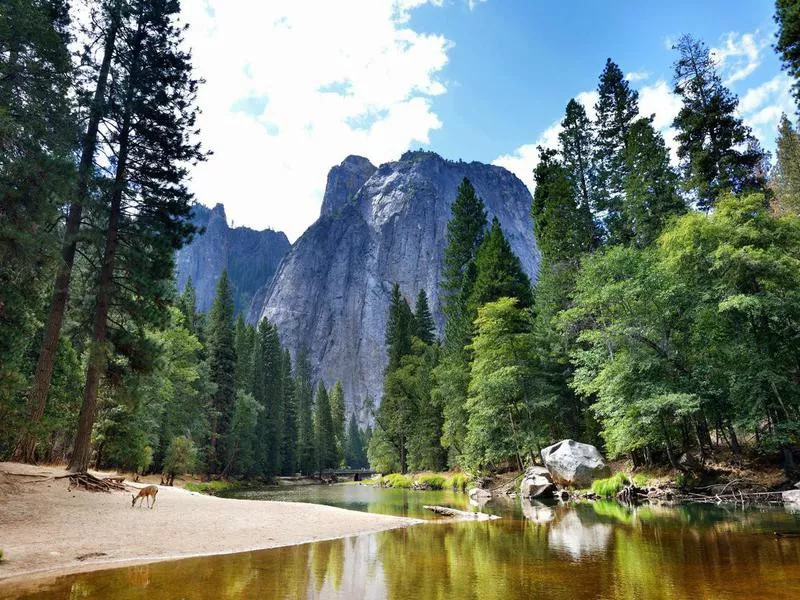 Yosemite National Park