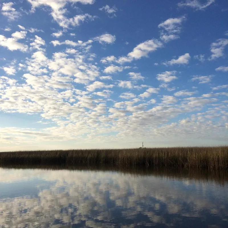 Grand Bay National Estuarine Research Reserve