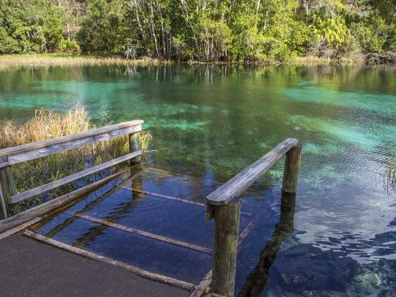 Rainbow Springs State Park