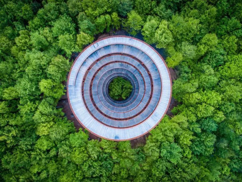 Tower in Danish forest