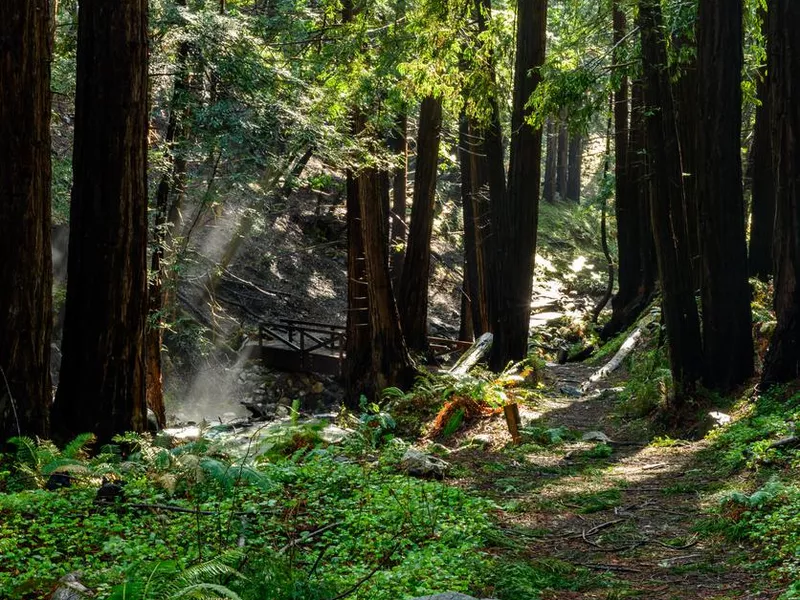 Limekiln trail Big Sur