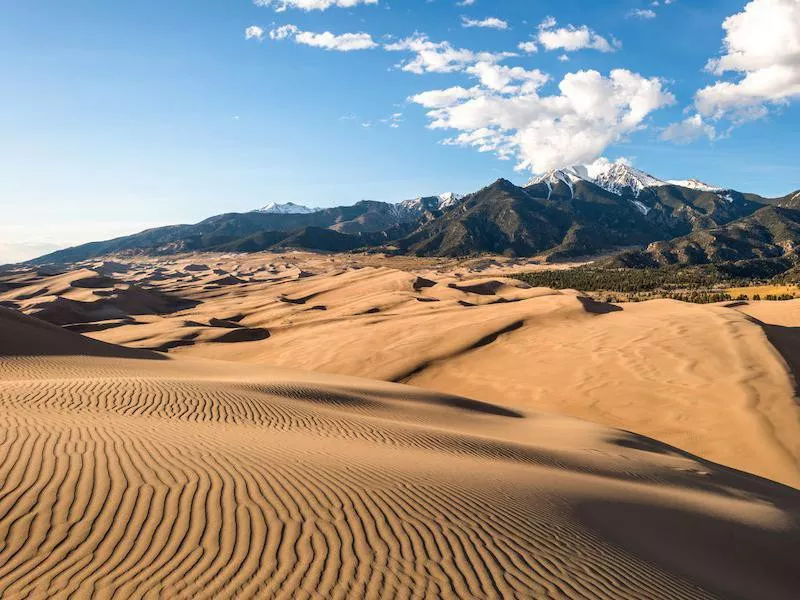 Sand Dunes