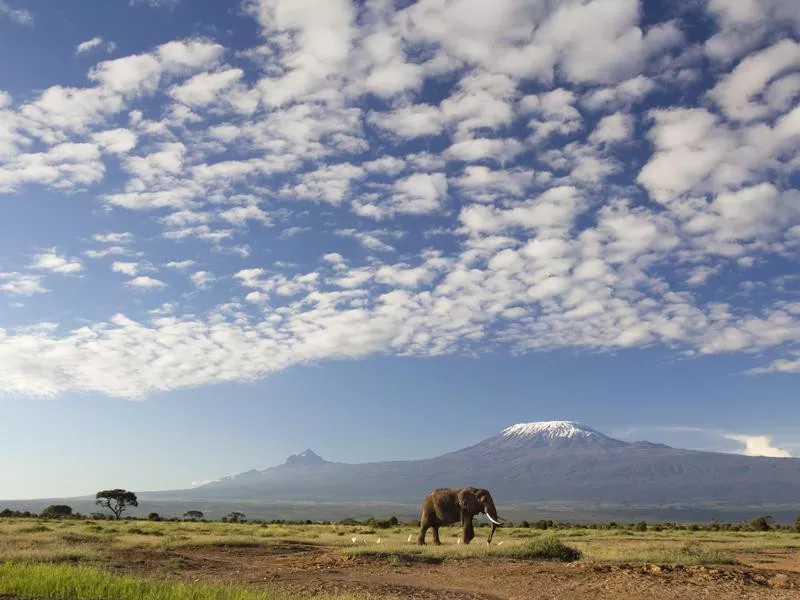 Mount Kilimanjaro