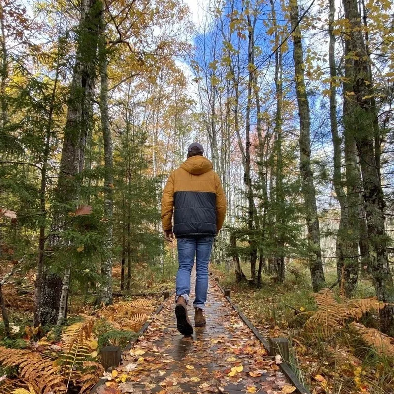 Person walking through Acadia National Park