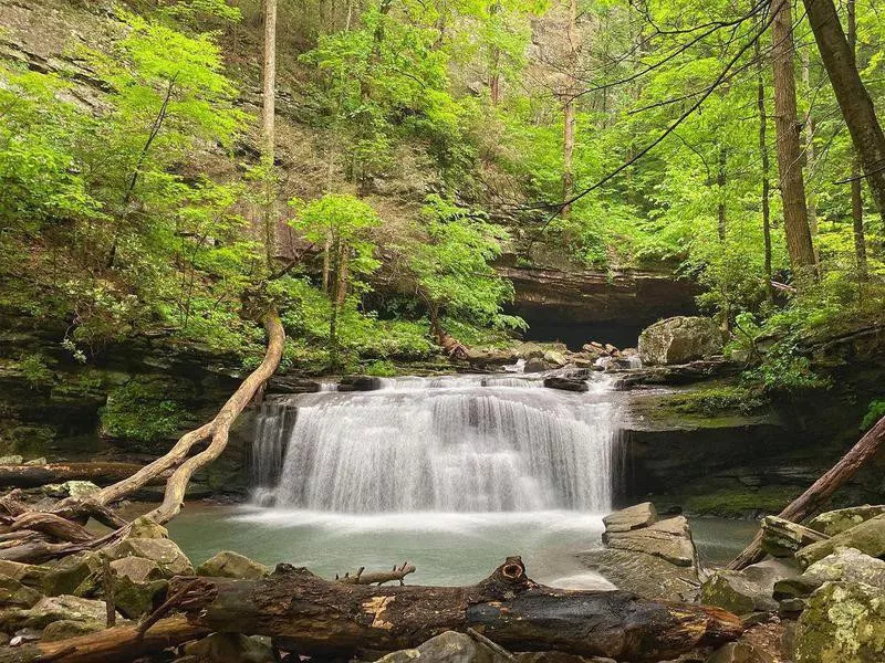 Waterfall at Cloudland Canyon State Park