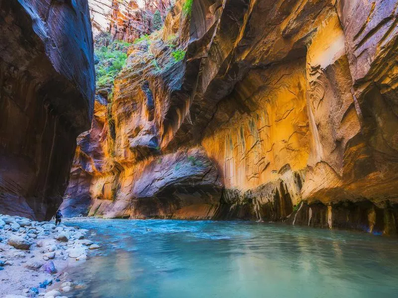 The Narrows at Zion National Park