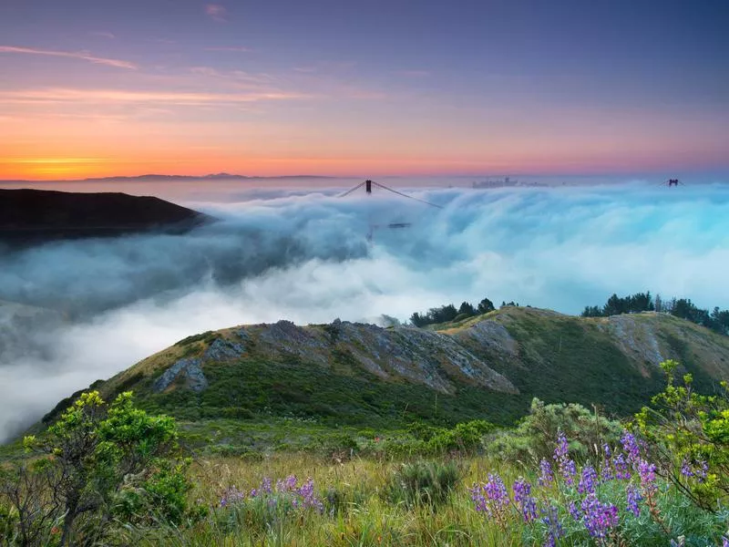 Marin Headlands